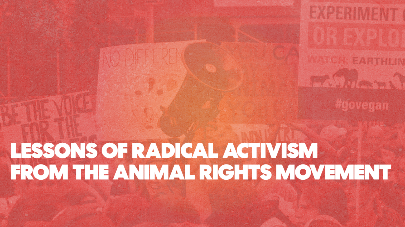 animal rights movement essay